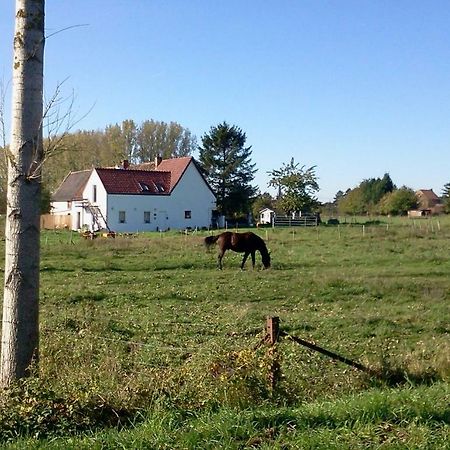 Гостевой дом Ferme Lenfant Ville-Pommeroeul Экстерьер фото