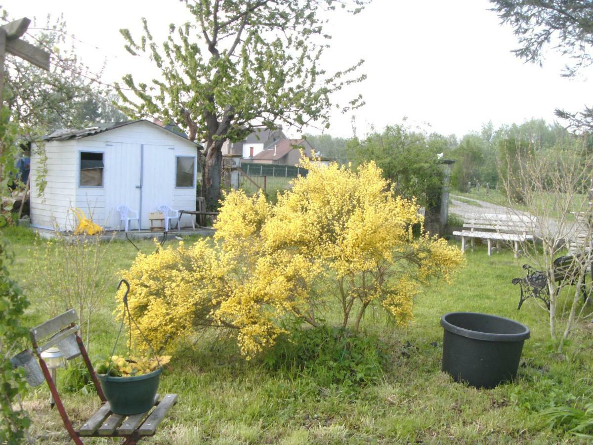 Гостевой дом Ferme Lenfant Ville-Pommeroeul Экстерьер фото